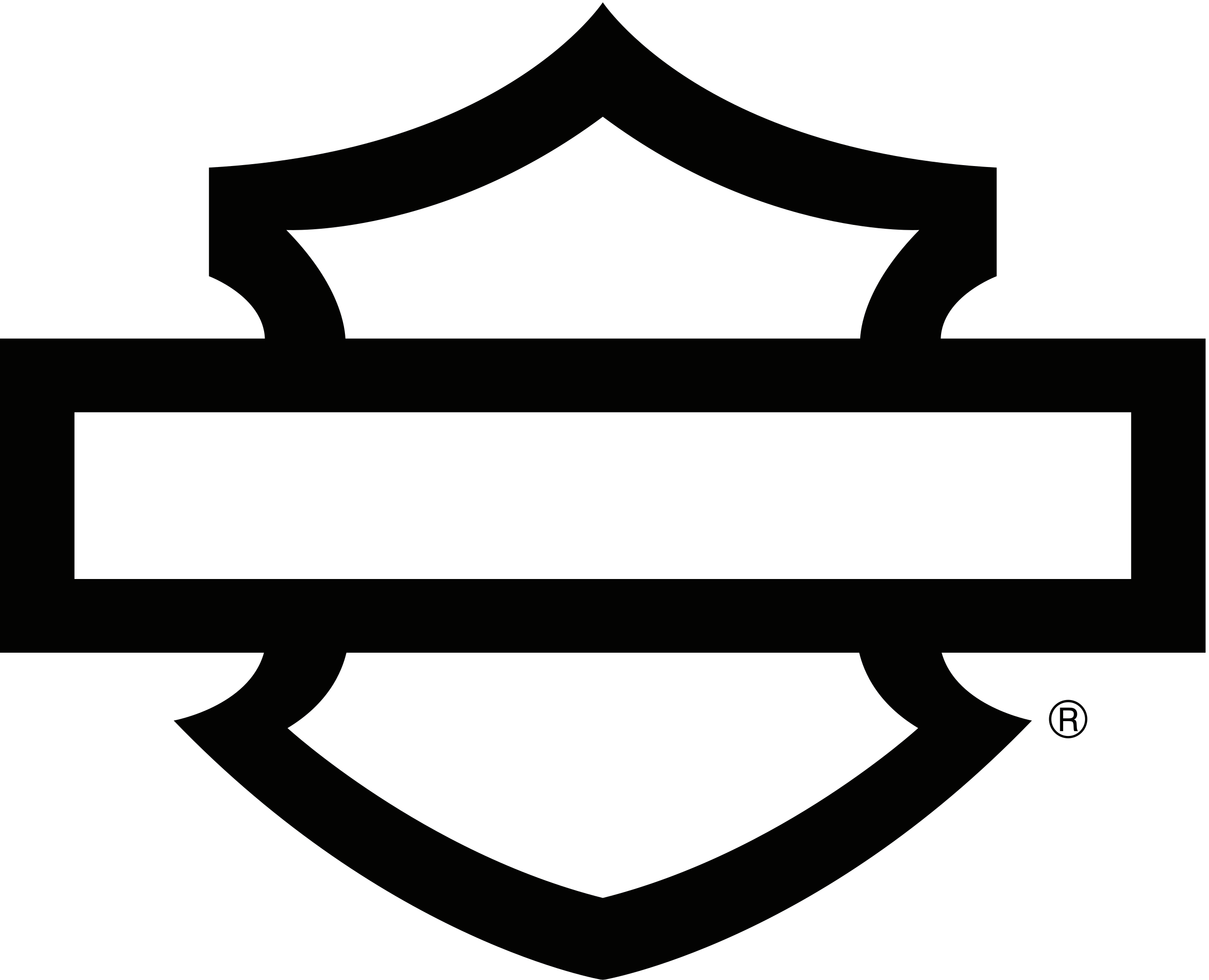 #1 Decal Vinyl Skulls (1 piece) 15x10 cm